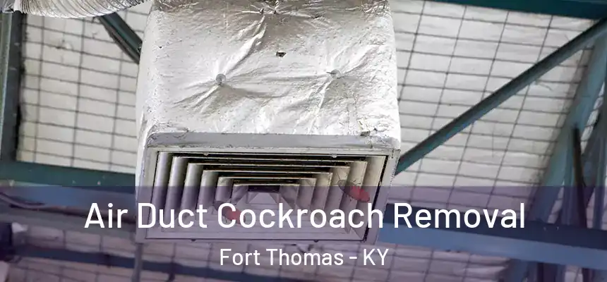  Air Duct Cockroach Removal Fort Thomas - KY
