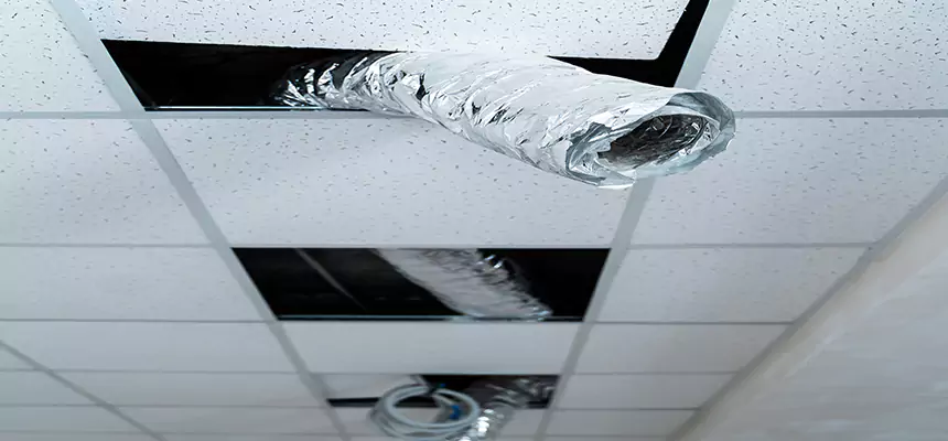 Affordable HVAC Sanitizing After Pest Removal in Fort Thomas