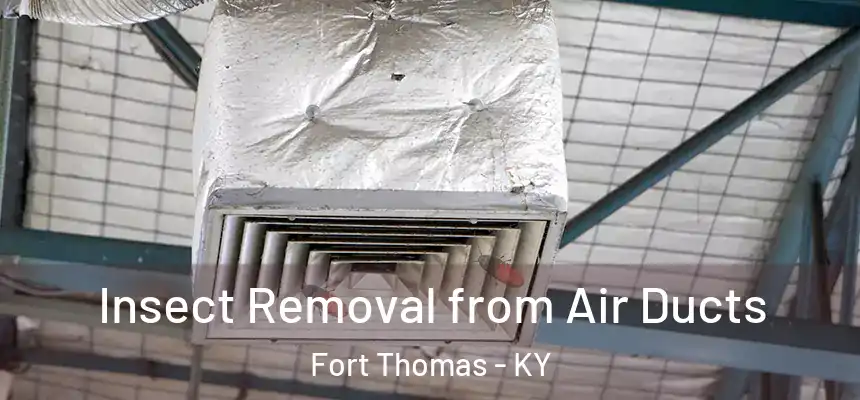  Insect Removal from Air Ducts Fort Thomas - KY