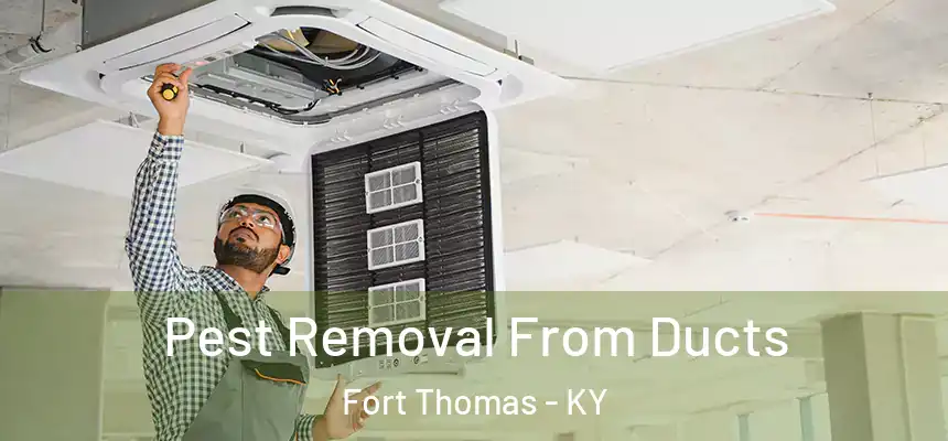  Pest Removal From Ducts Fort Thomas - KY