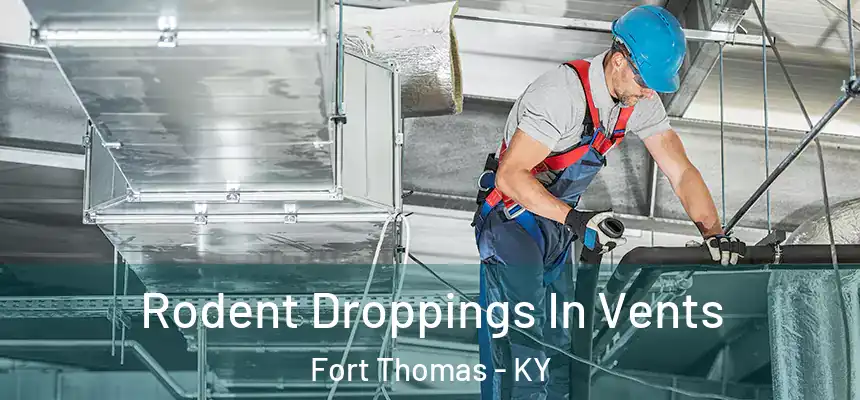  Rodent Droppings In Vents Fort Thomas - KY