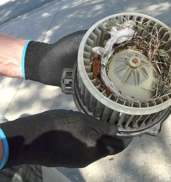 About Air Duct Rat Removal in Fort Thomas, KY