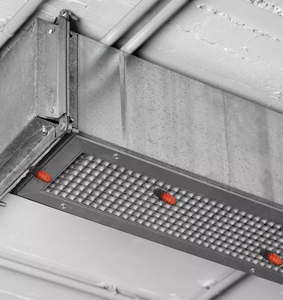 Affordable Insect Removal from Air Ducts in Fort Thomas, KY