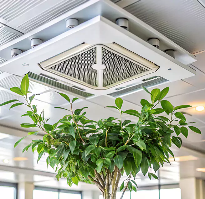 Why Homeowners & Businesses Trust Us in Fort Thomas, KY?